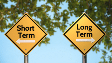Short-Term vs. Long-Term Viola Rentals